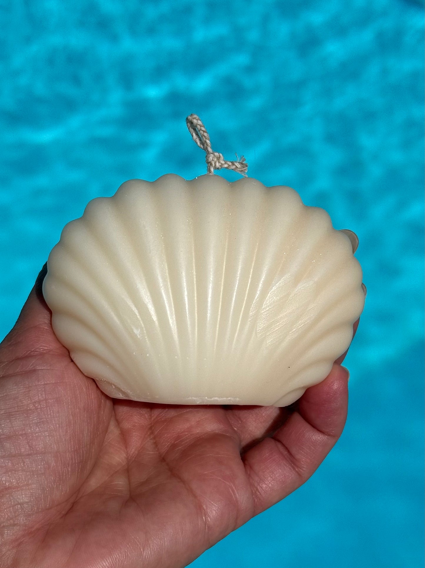 The Seashell