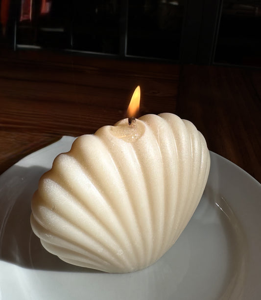 The Seashell